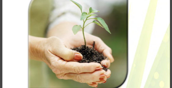 دليلي لتهيئة حديقة مدرسية​